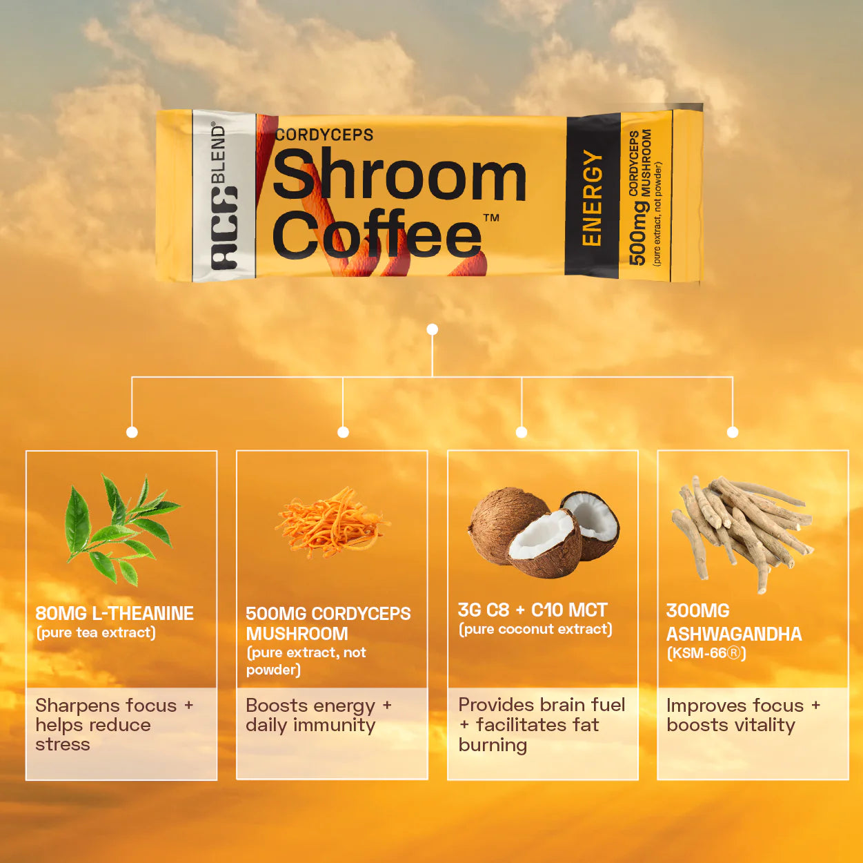Ace Blend-Cordyceps Shroom Coffee